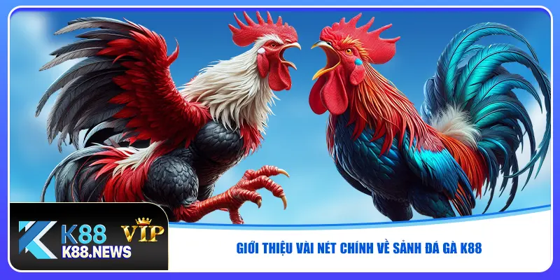 Giới thiệu vài nét chính về sảnh đá gà K88