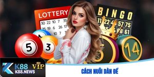 Cách nuôi dàn đề